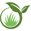 Tampa Lawn Clean Up