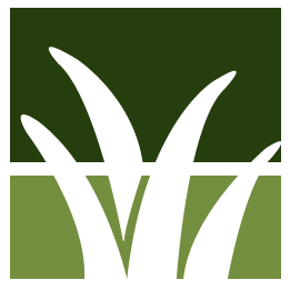 Tampa Lawn Clean Up