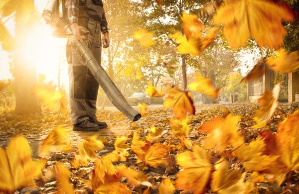 Cost of Leaf Blowing Service in Tampa