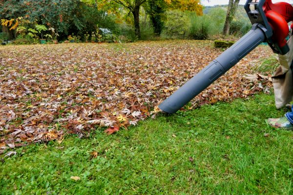 Cost of Leaf Vacuuming Service in Tampa