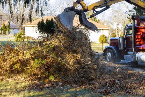 Cost of Storm Debris Removal in Tampa