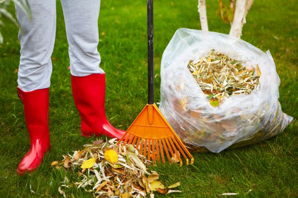 Cost of Leaf Disposal Service in Tampa