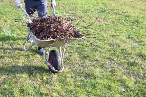 Cost of Yard Brush Removal in Tampa