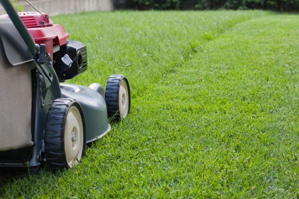 Spring Lawn Maintenance