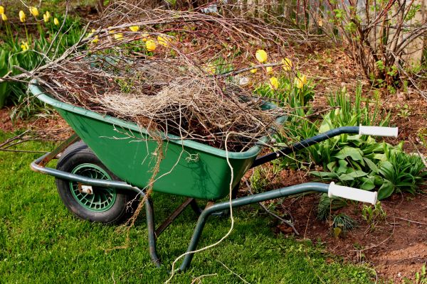 Cost of Lawn Waste Removal in Tampa