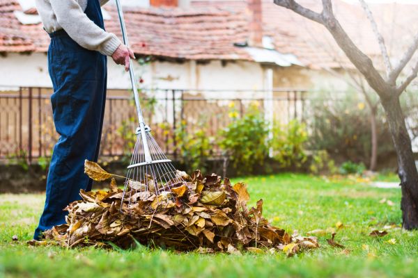 Cost of Fall Yard Cleanup Service in Tampa