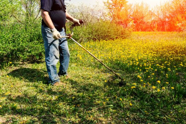 Cost of Yard Clearing Service in Tampa