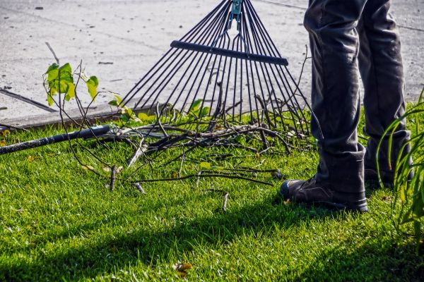 Cost of Yard Debris Cleanup in Tampa