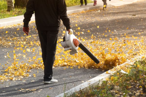 Cost of Commercial Leaf Removal in Tampa