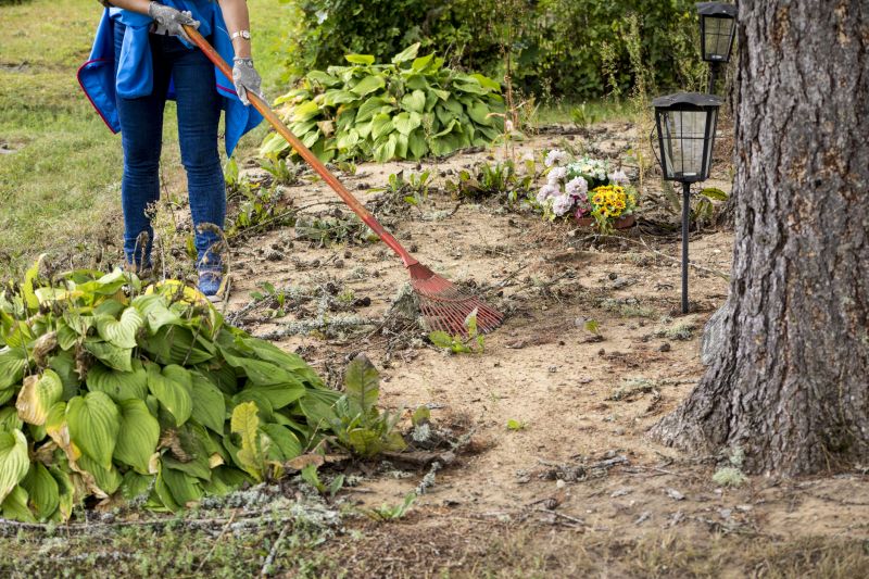Lawn after storm cleanup