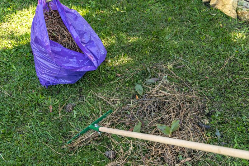 Storm debris clearing