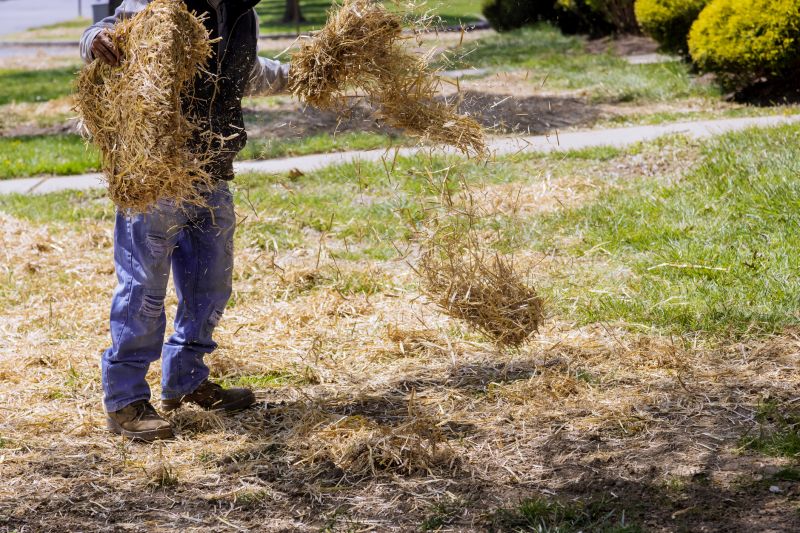 Pine Straw Raking